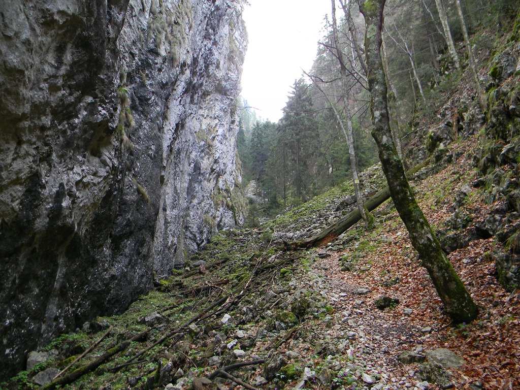 [DSCN1257[4].jpg]