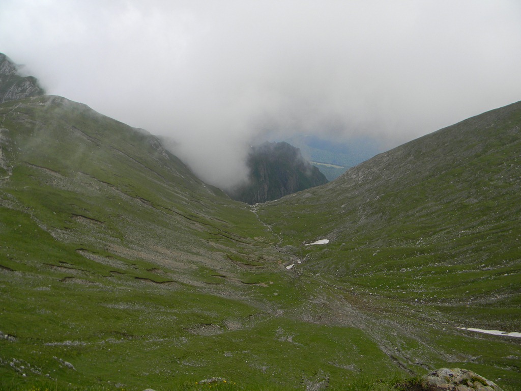 [DSCN56554.jpg]