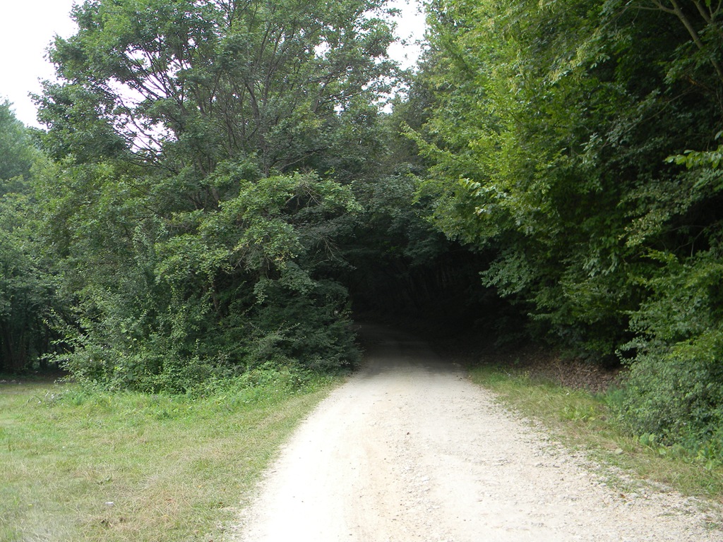 [DSCN78344.jpg]