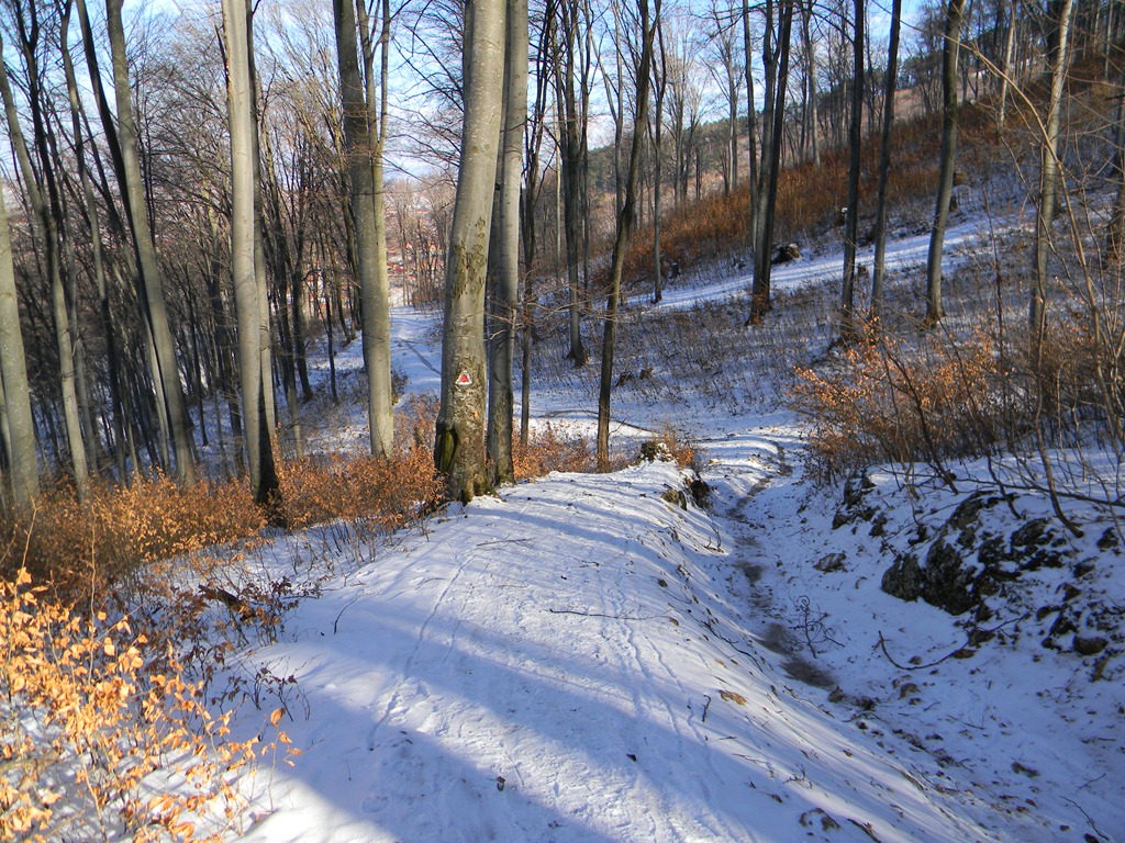 [DSCN32053.jpg]
