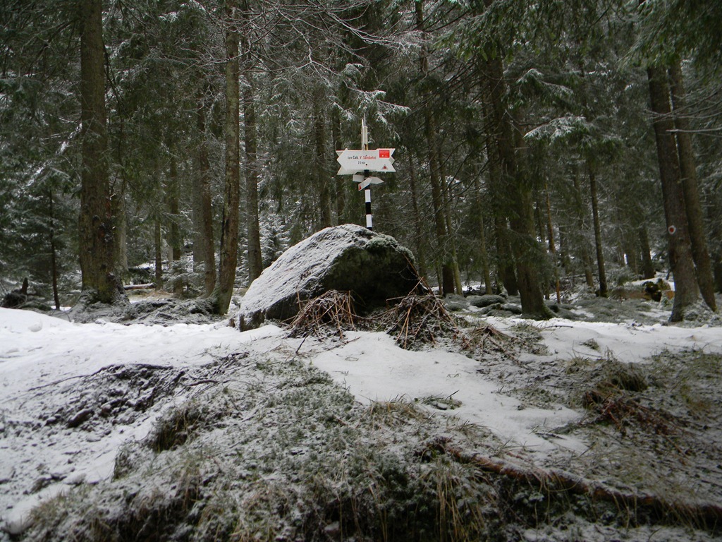 [DSCN15773.jpg]