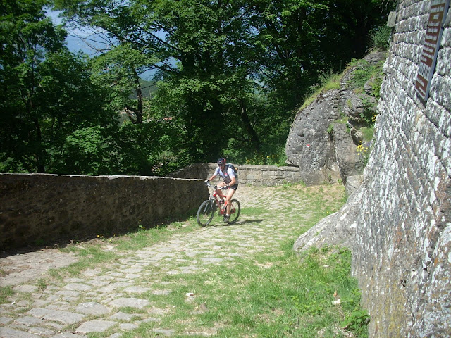 Verna%20020.jpg