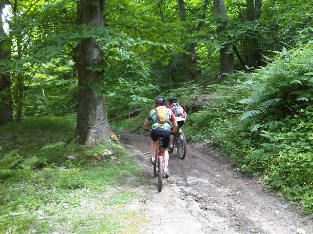 IMG00155-20100619-1109.jpg