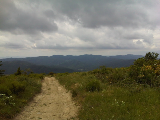 IMG00156-20100619-1134.jpg