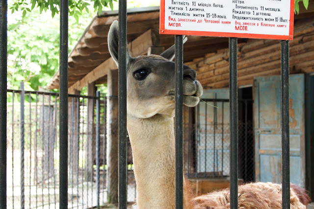 Поход в николаевский зоопарк.