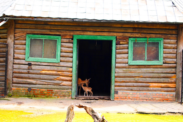 Поход в николаевский зоопарк.