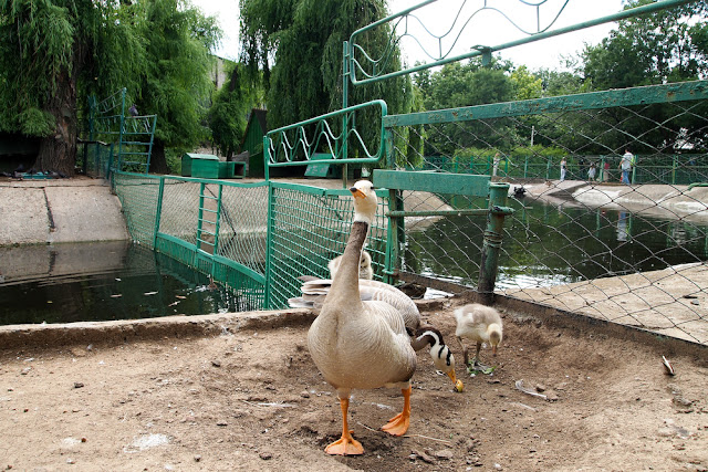Поход в николаевский зоопарк.