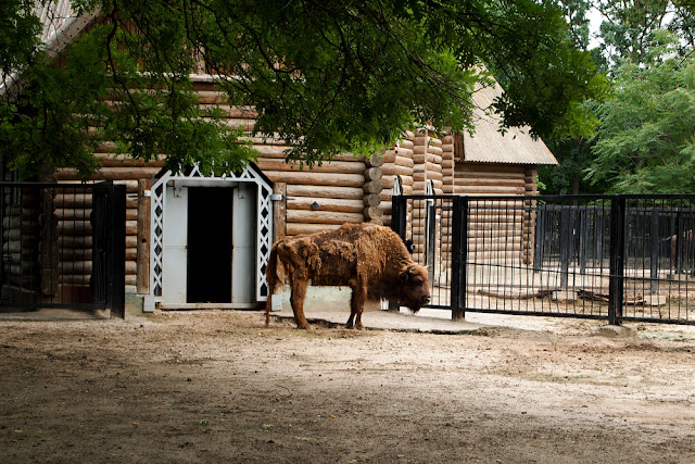 Поход в николаевский зоопарк.