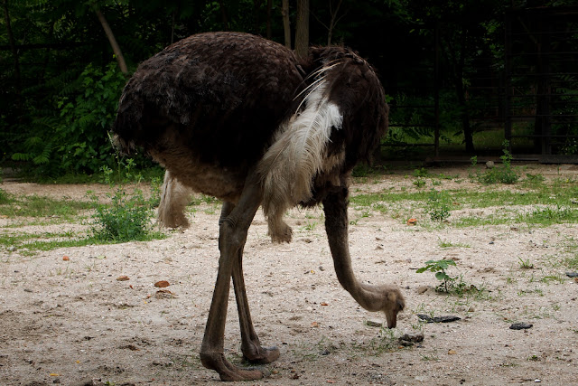 Поход в николаевский зоопарк.