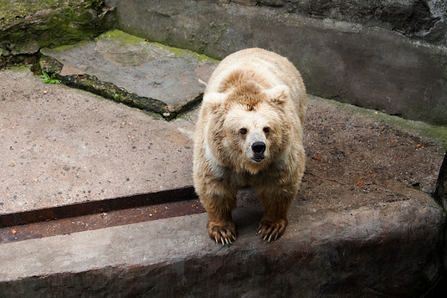 Поход в николаевский зоопарк.
