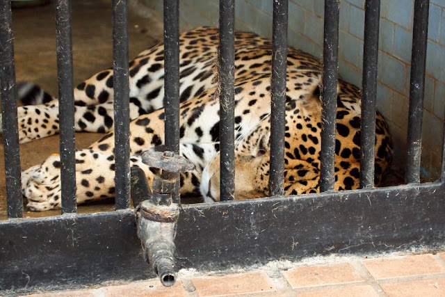 Поход в николаевский зоопарк.