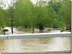 Saline Creek May 2010 Flood