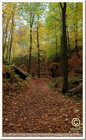 Autumn-Wartburg (02) by MeetaK