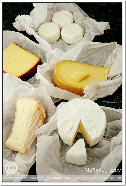 Cheese (03) by MeetaK