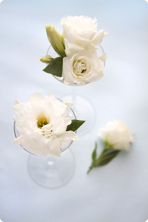 White Chinese Roses