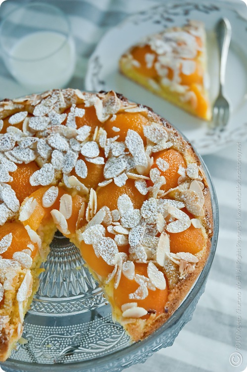 Apricot Saffron Cake (0011) by MeetaK