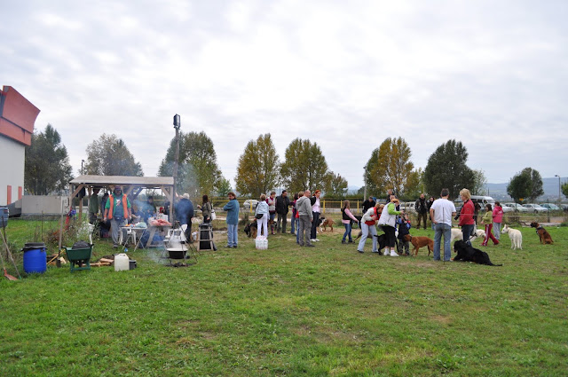 DSC_0666.JPG