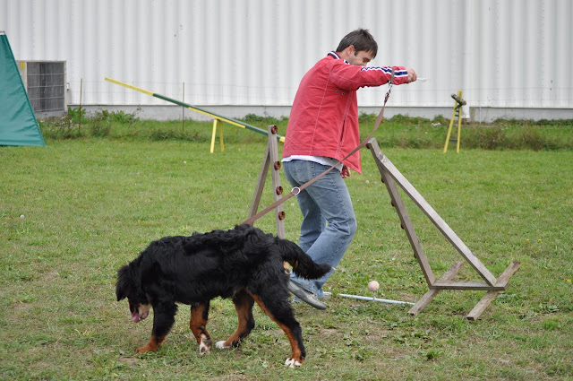 DSC_0959.JPG