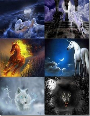 MagicAnimalsWallpapers