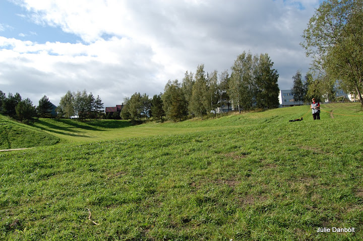 DSC_4992.JPG