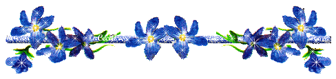 _7.gif