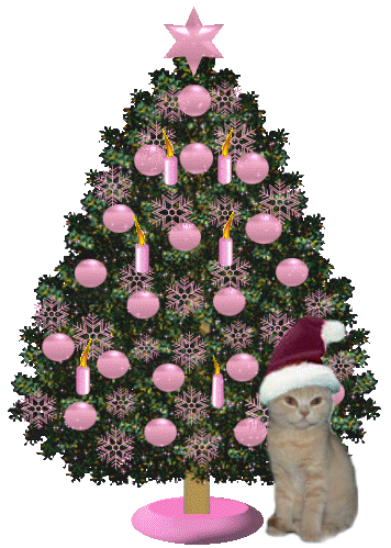 20081208214359195.gif&width=400