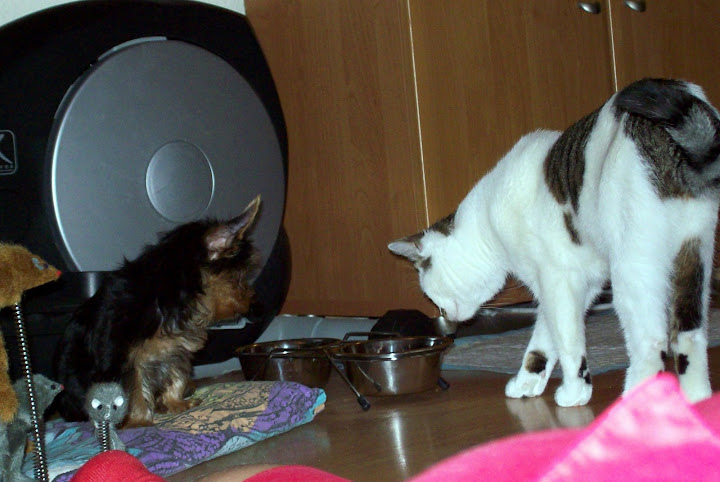 Lulu%20044-1.jpg