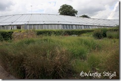 IMG_4848 IMG_4848