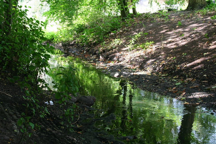 Ein Teil der Seebek vor dem Kies.