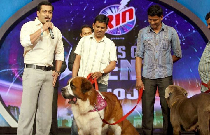 CLICK THE ABOVE ARROW TO  ZOOM THE IMAGE