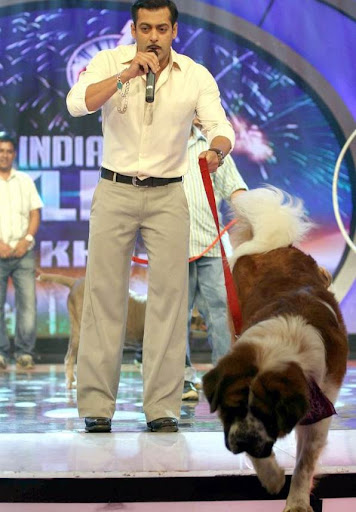 CLICK THE ABOVE ARROW TO  ZOOM THE IMAGE