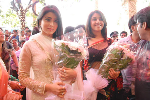 CLICK THE ABOVE ARROW TO  ZOOM THE IMAGE