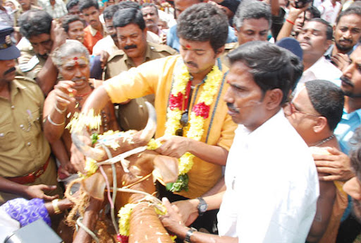 CLICK THE ABOVE ARROW TO  ZOOM THE IMAGE