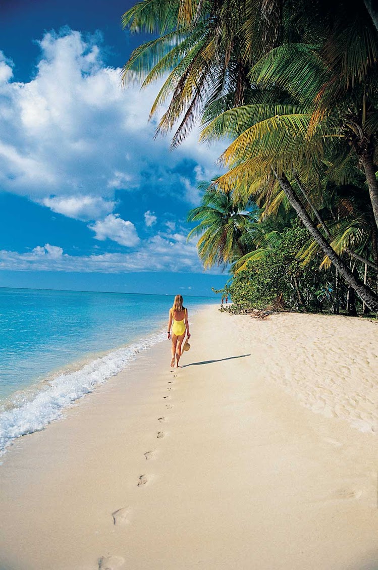 Go for a solo stroll in the tropics on your Windstar cruise.
