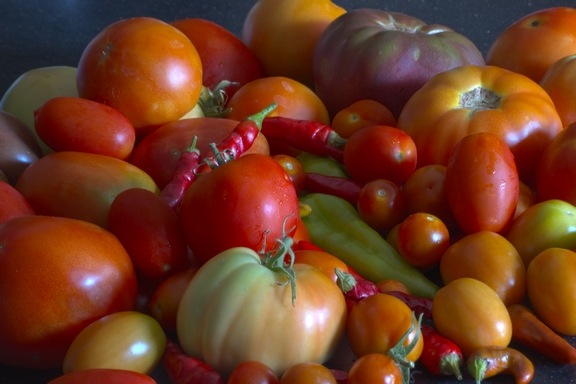 [tomatoes-variety_sm[4].jpg]