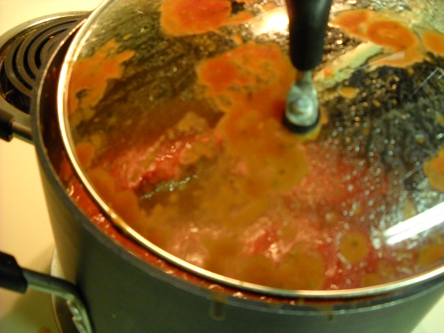 splattering sauce in pan on stove top with lid on