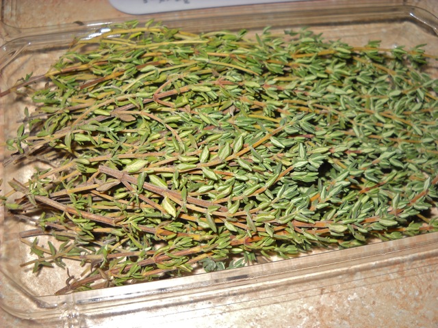 old thyme drying 
