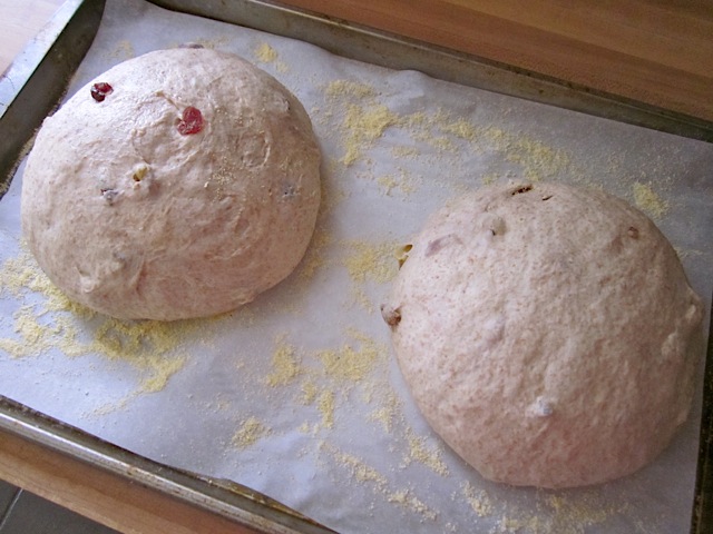 risen loaves (2 loaves on baking sheet)