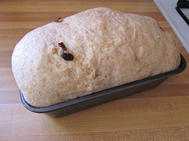 dough in pan after rising 