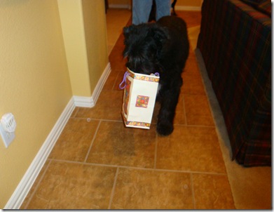 Lucy opening present