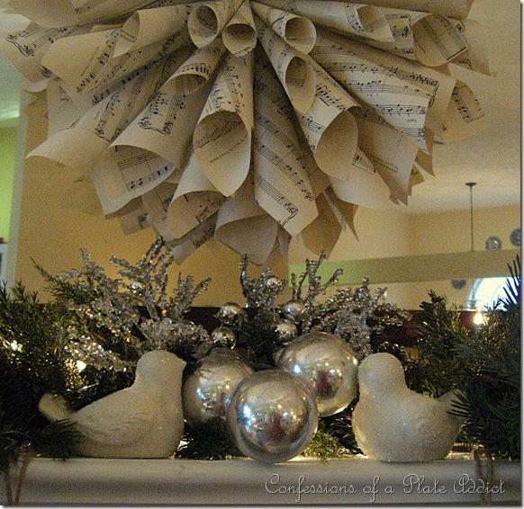IMG_4446 IMG_4446