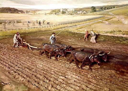[Medieval ploughing[3].jpg]