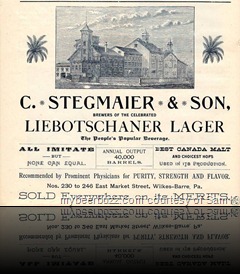 Localbrewing1888_Stegmaier_Factory_Ad