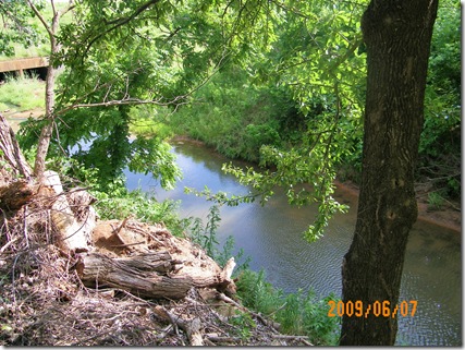 Don found a fishing hole in the creek behind our RV park