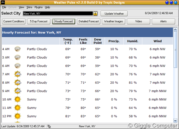 Hourly forecast