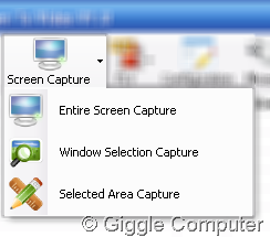Screen capture