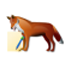 [Icon[5].png]