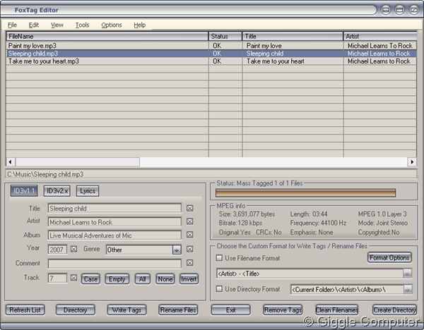 FoxTag Editor