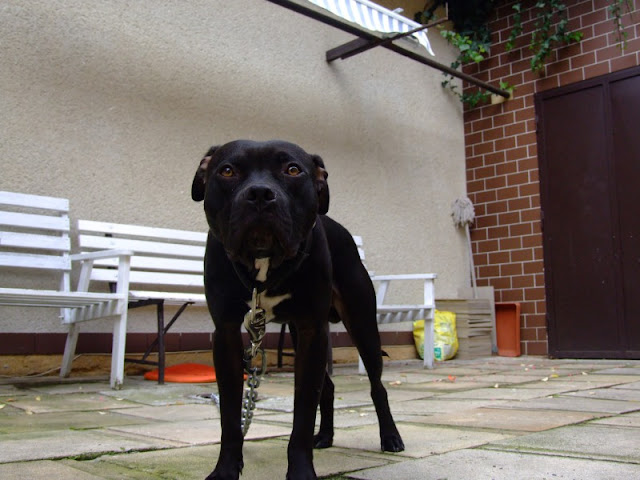 DSCF0151.jpg