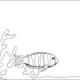 PEIXOS.jpg